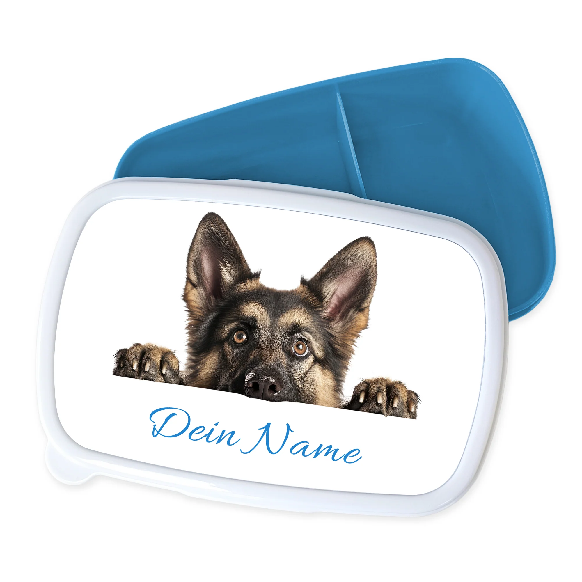 Vorschaubild 1