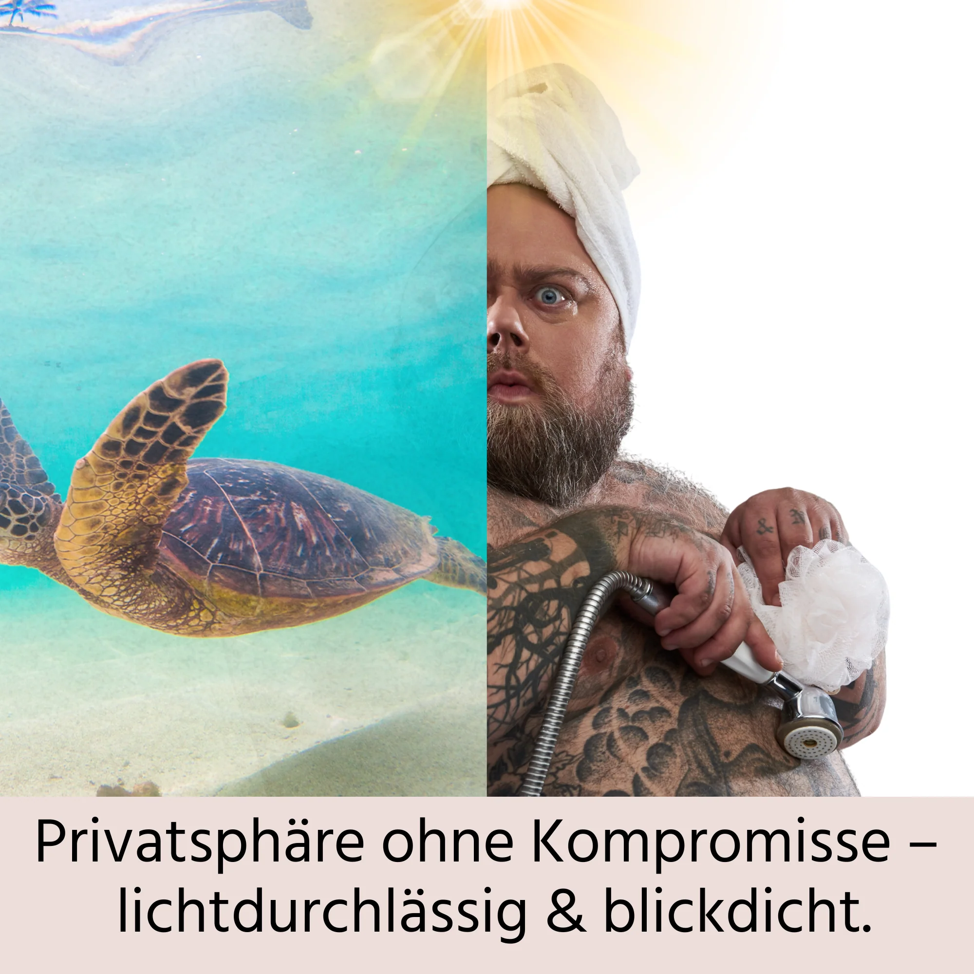 Fensterfolie Schildkröte - Image 5