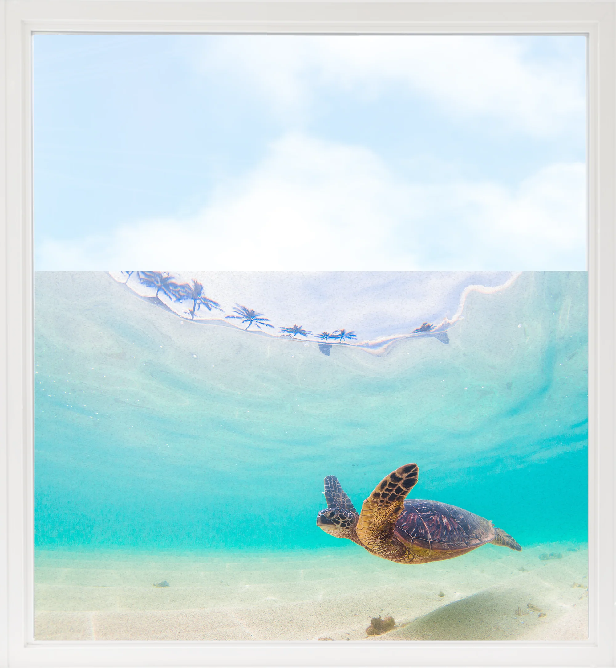 Fensterfolie Schildkröte - Image 9