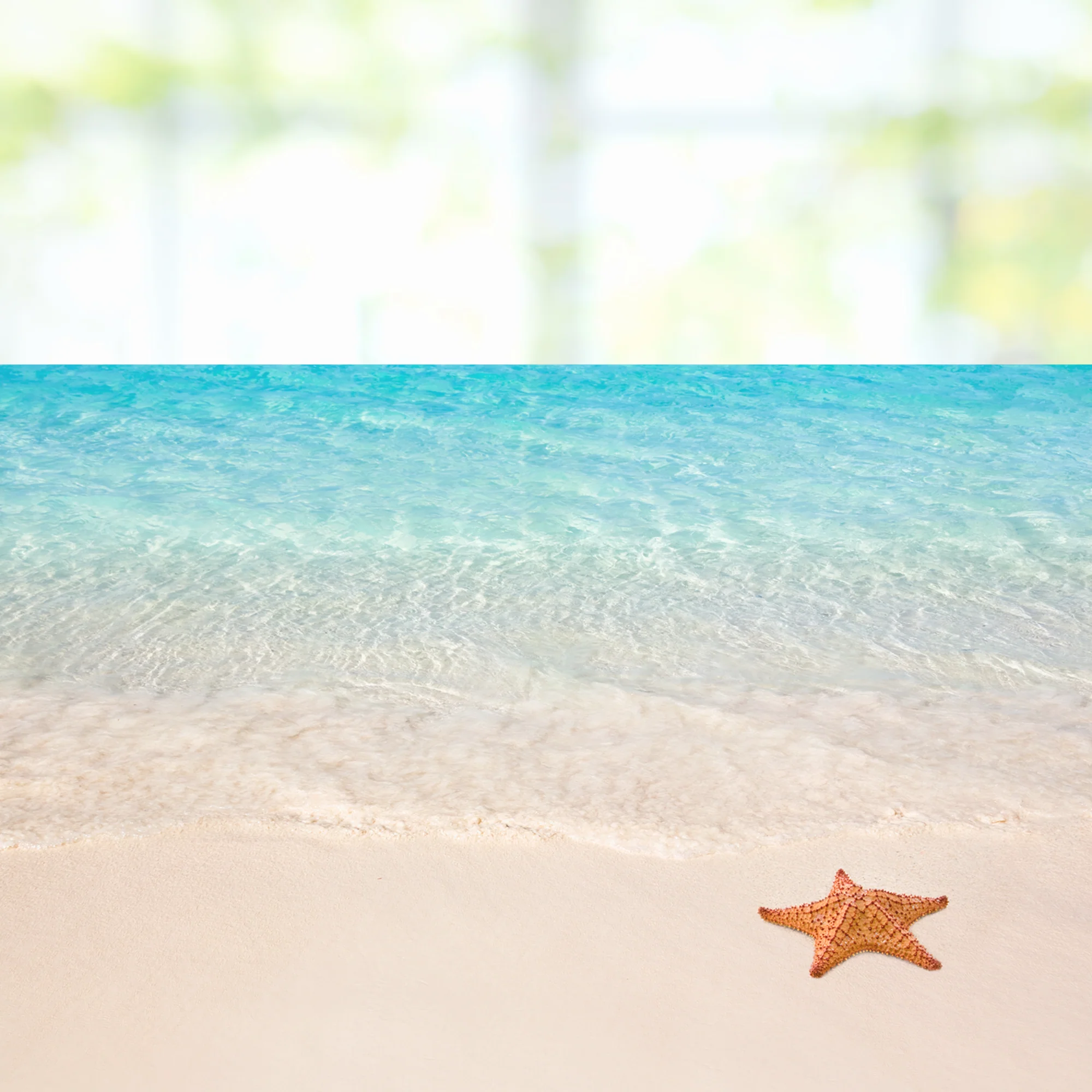 Fensterfolie Strand mit Seestern - Image 7