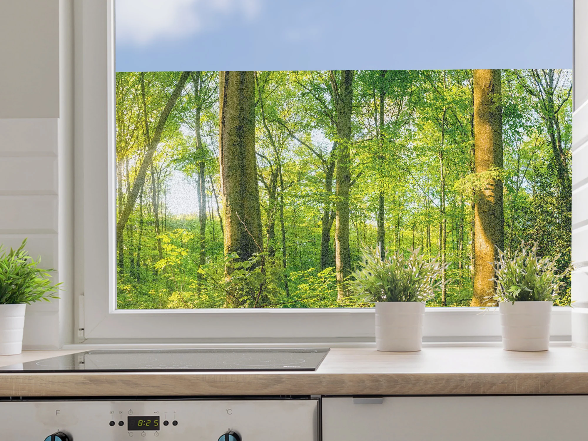 Fensterfolie Waldlandschaft - Image 3