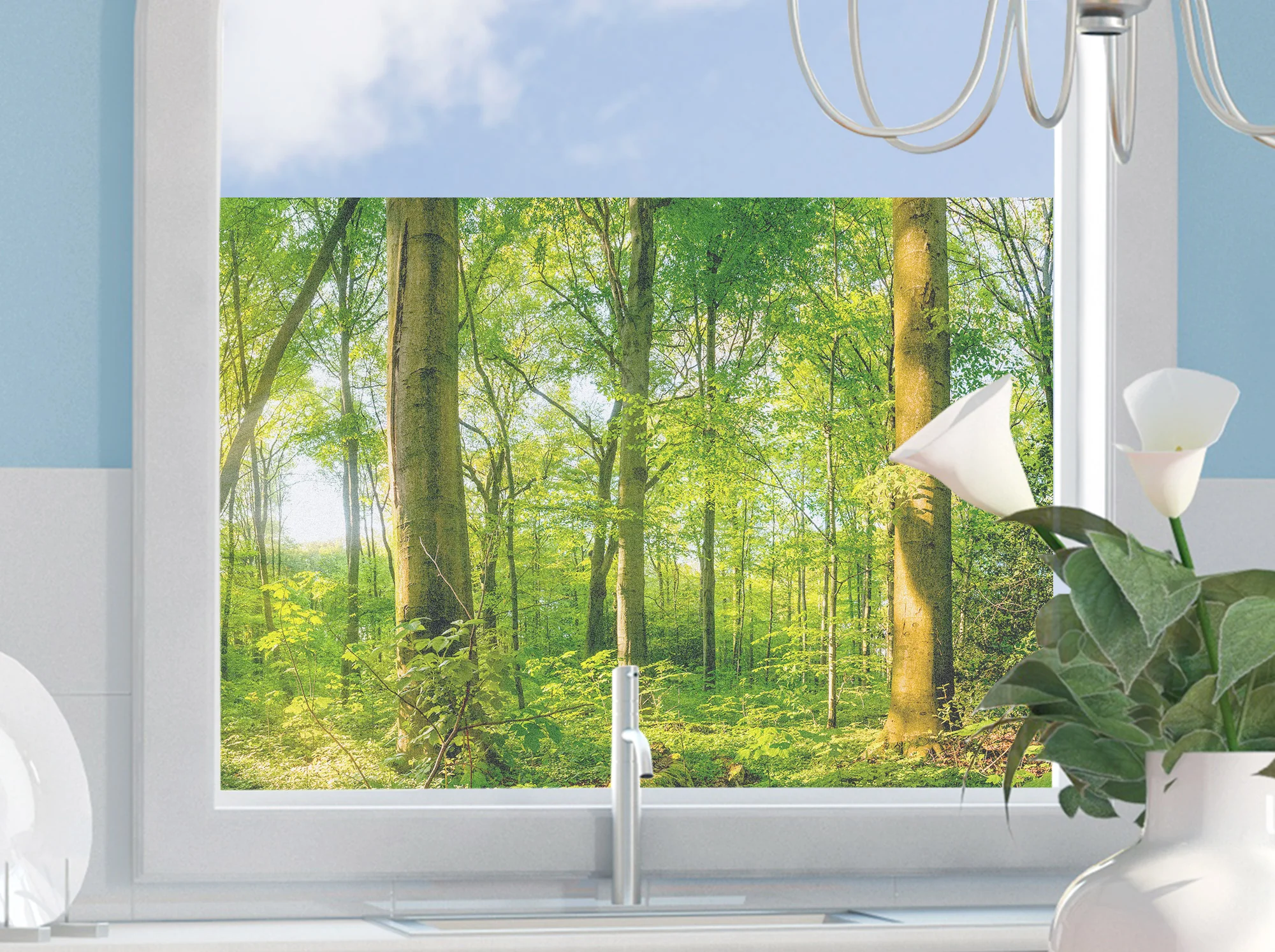 Fensterfolie Waldlandschaft - Image 4
