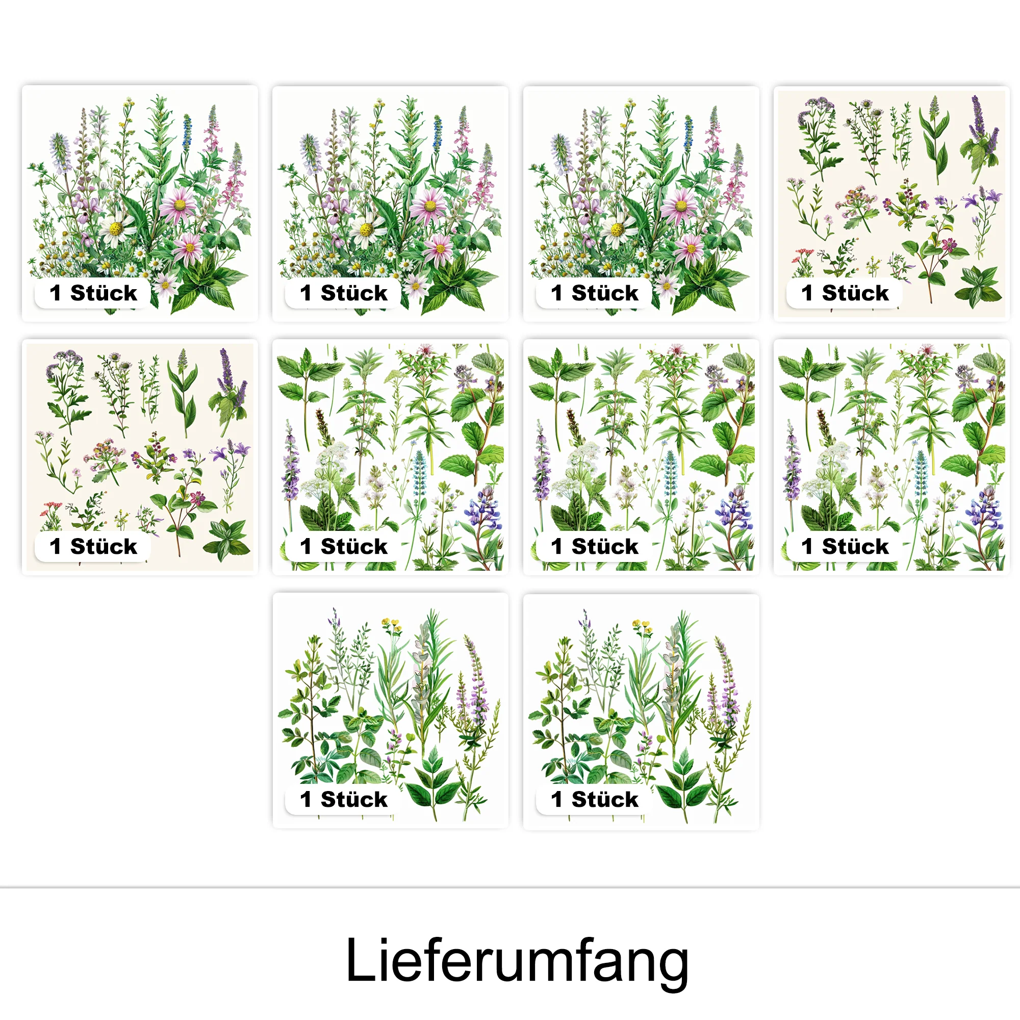 Vorschaubild 2