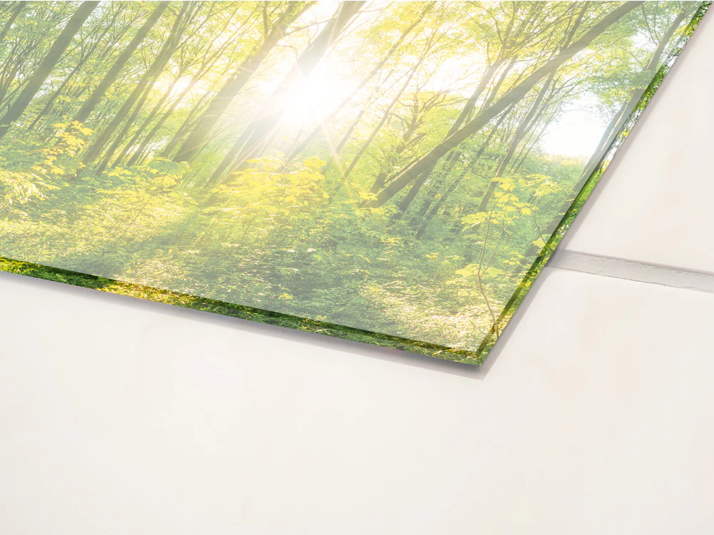 Küchenrückwand Wald - Image 3
