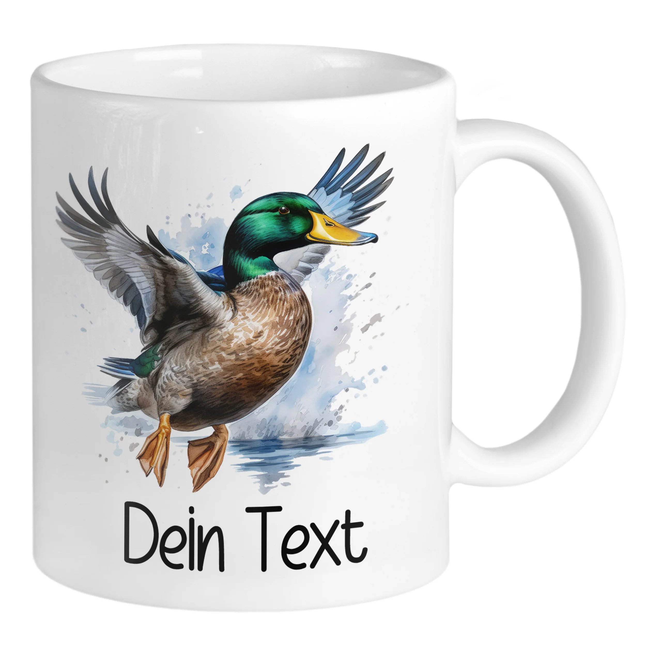 Vorschaubild 1