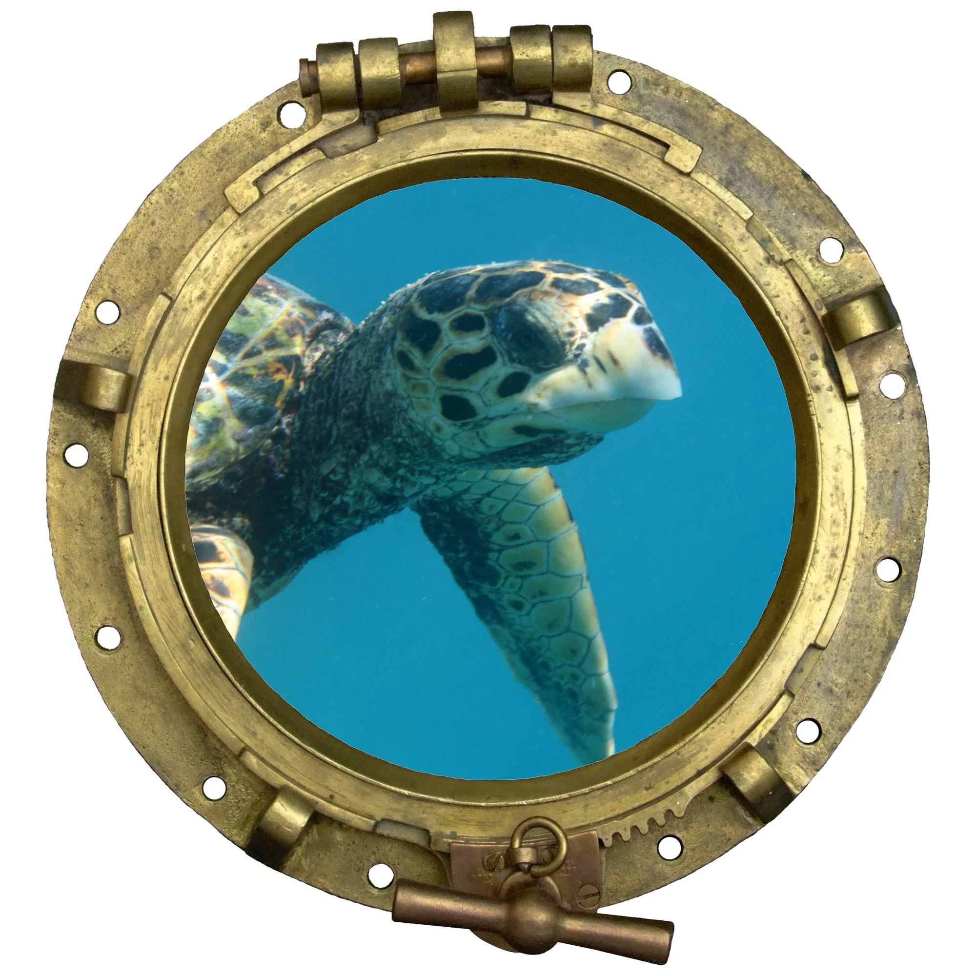 Wandtattoo 3D Bullauge – Meeresschildkröte Unterwasser - Image 2
