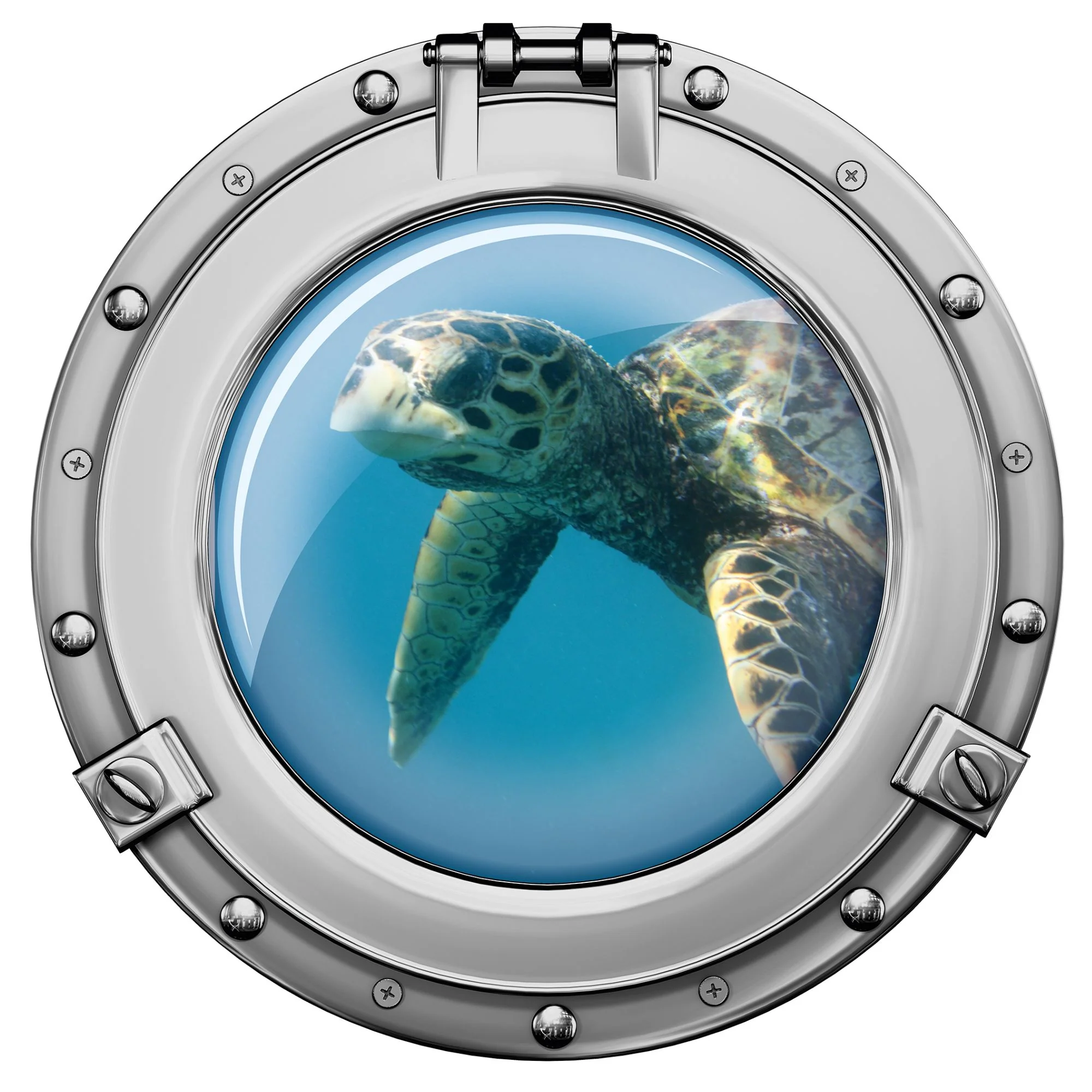 Wandtattoo Bullauge Schildkröte - Image 2