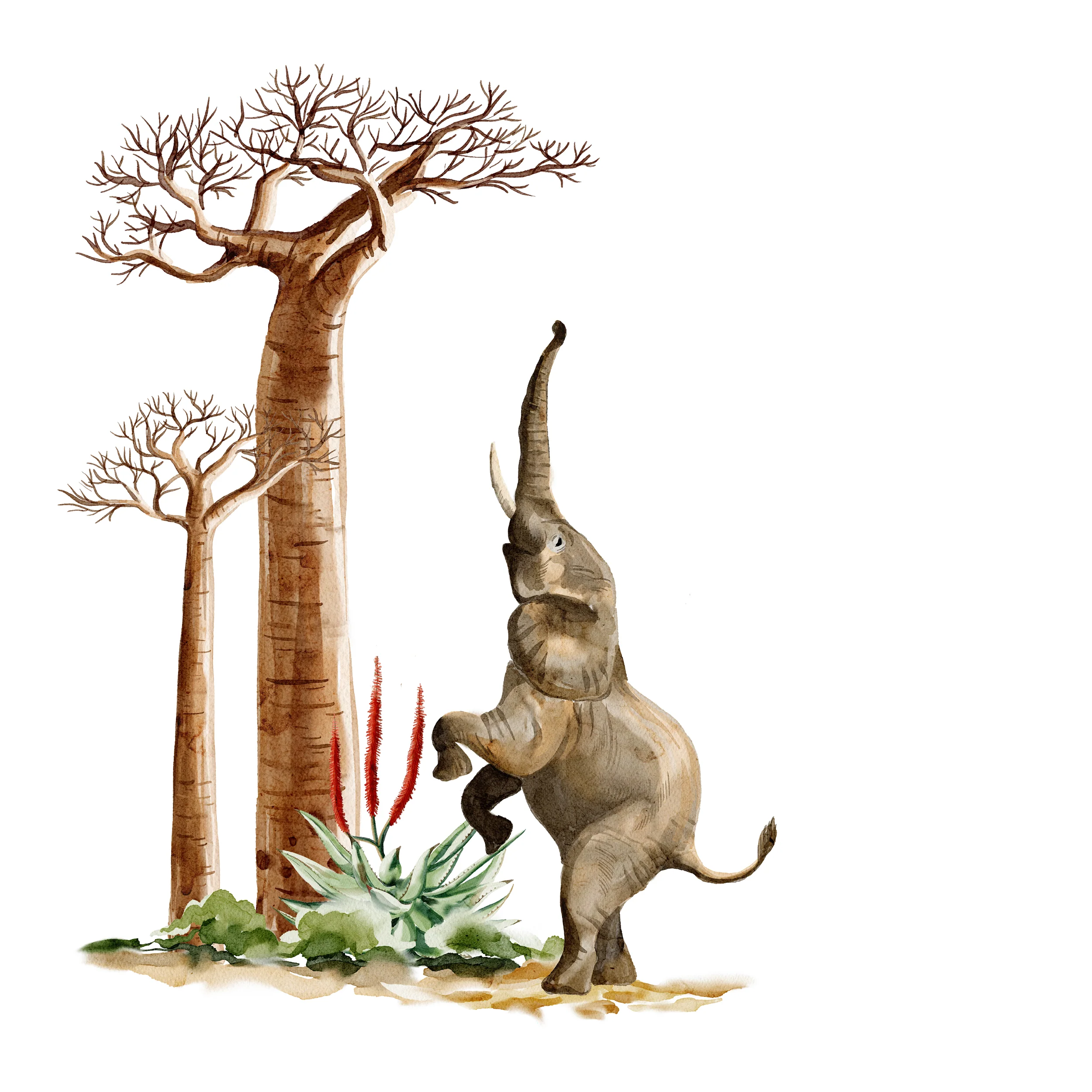 Wandtattoo Elefant - Image 2