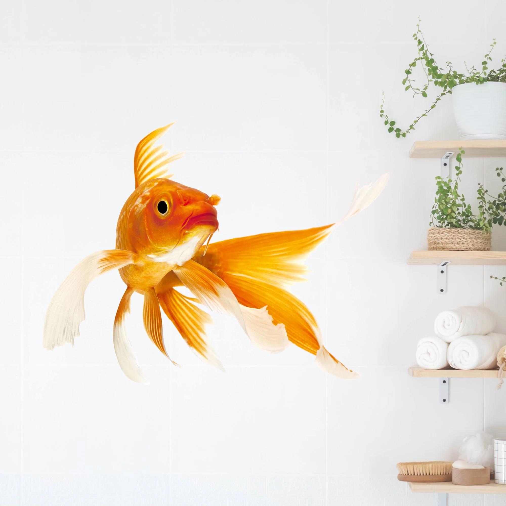 Wandtattoo Goldfisch - Image 4