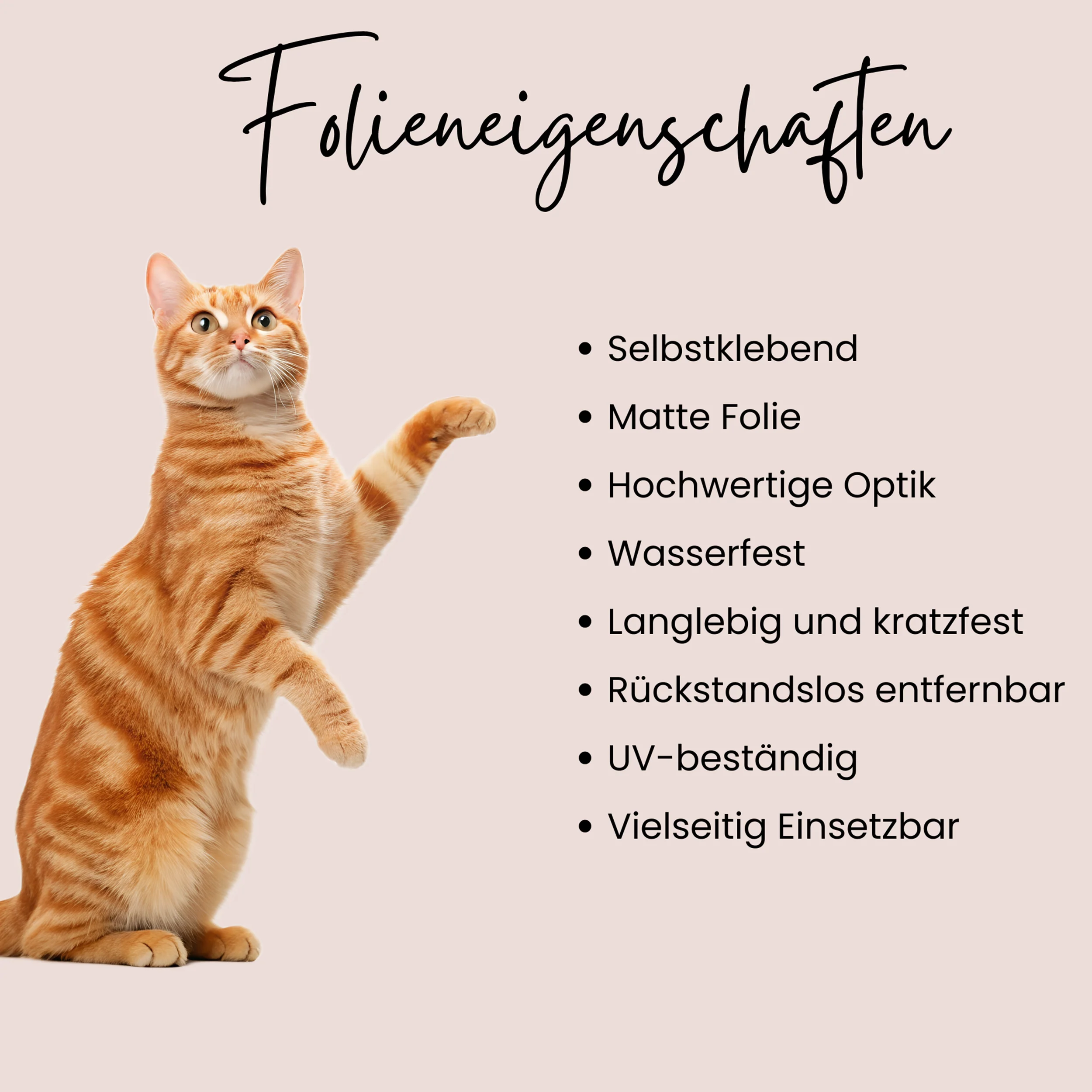 Wandtattoo Katze - Image 3