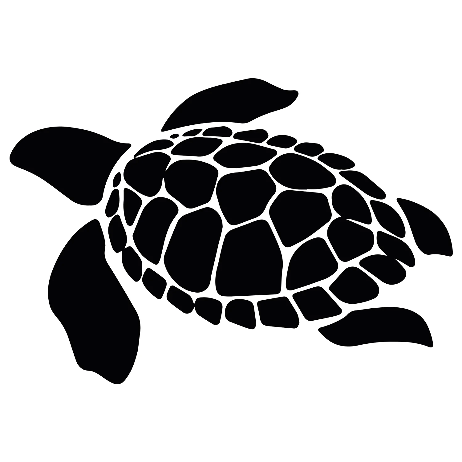 Wandtattoo Schildkröte - Image 3