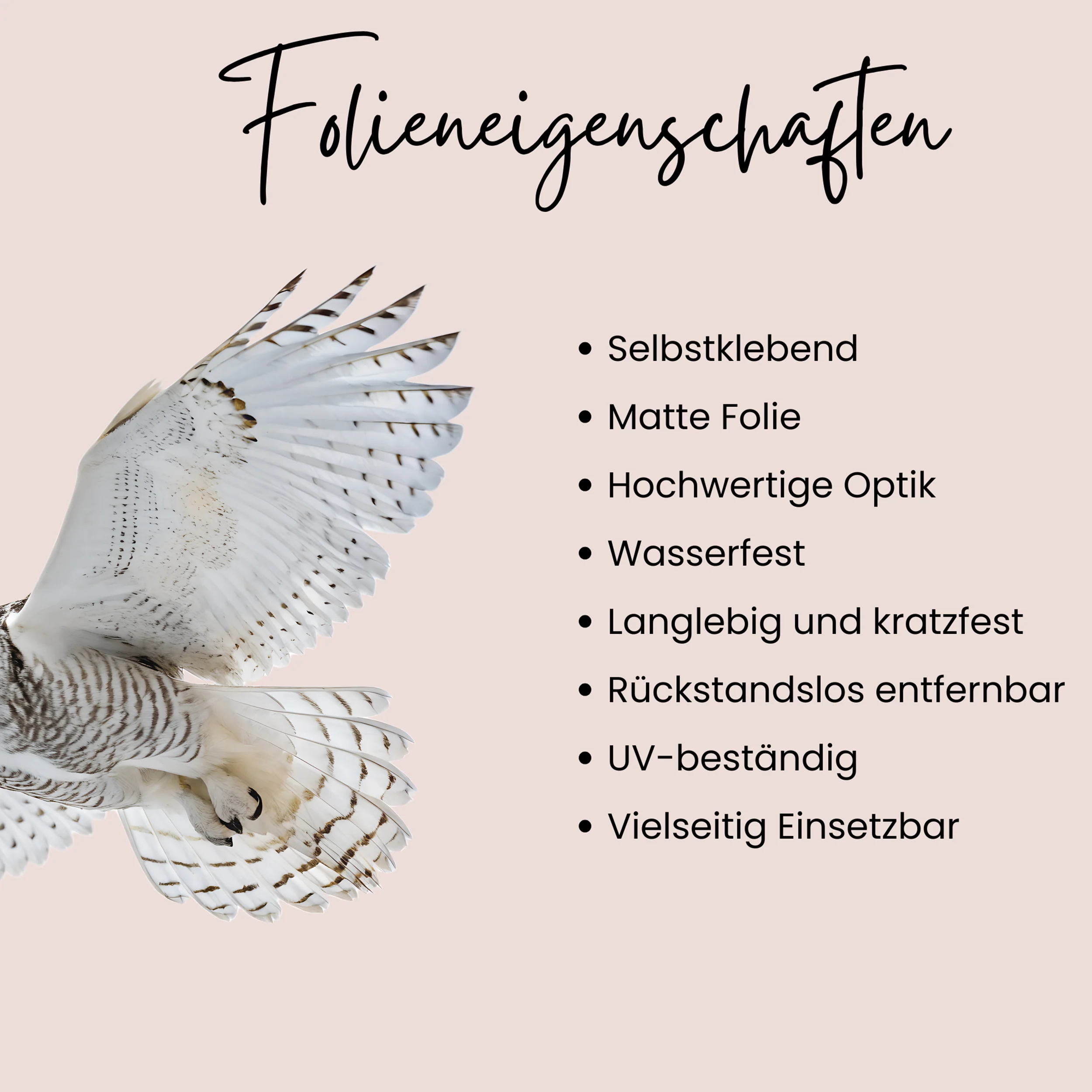 Wandtattoo Schneeeule - Image 3