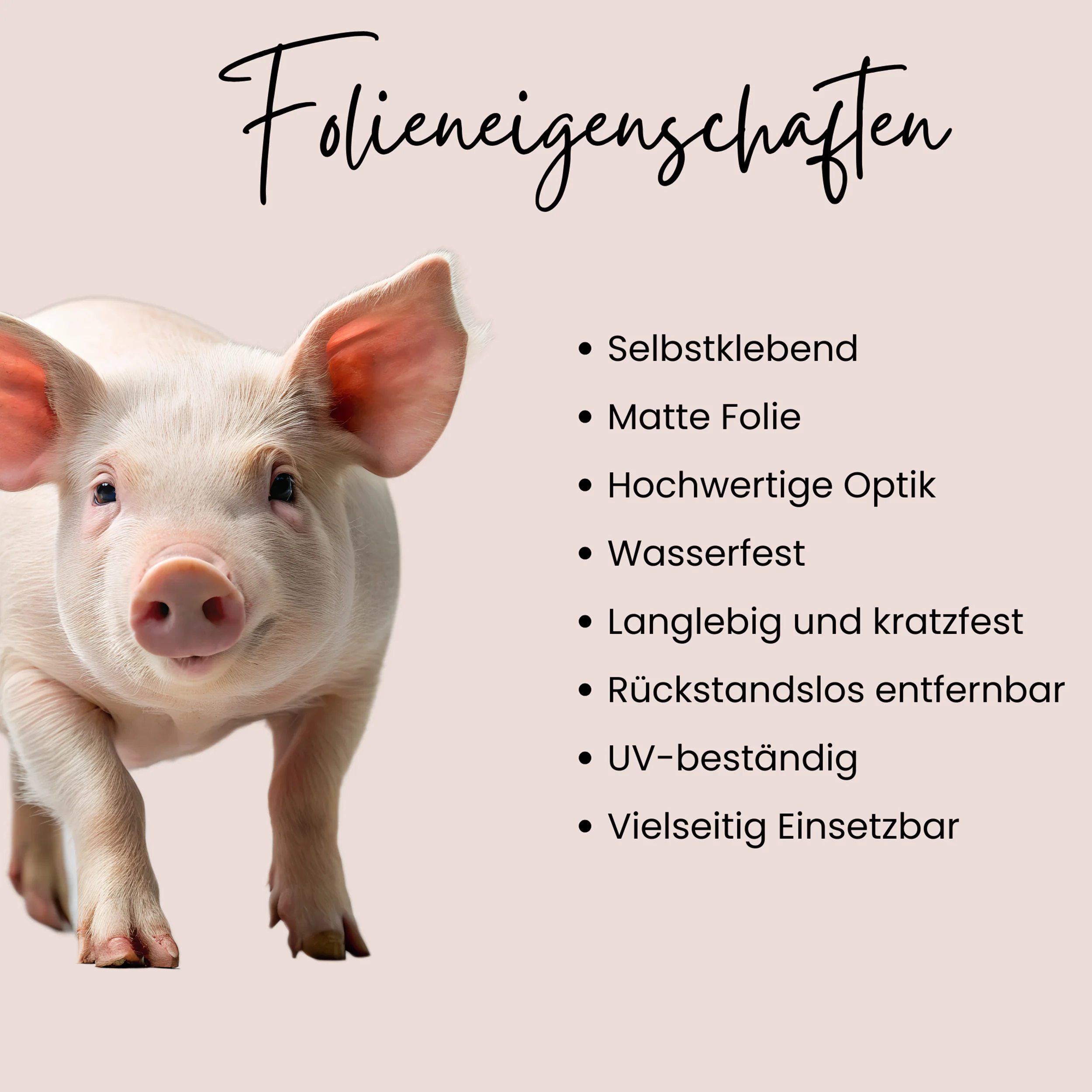 Wandtattoo Schwein - Image 3