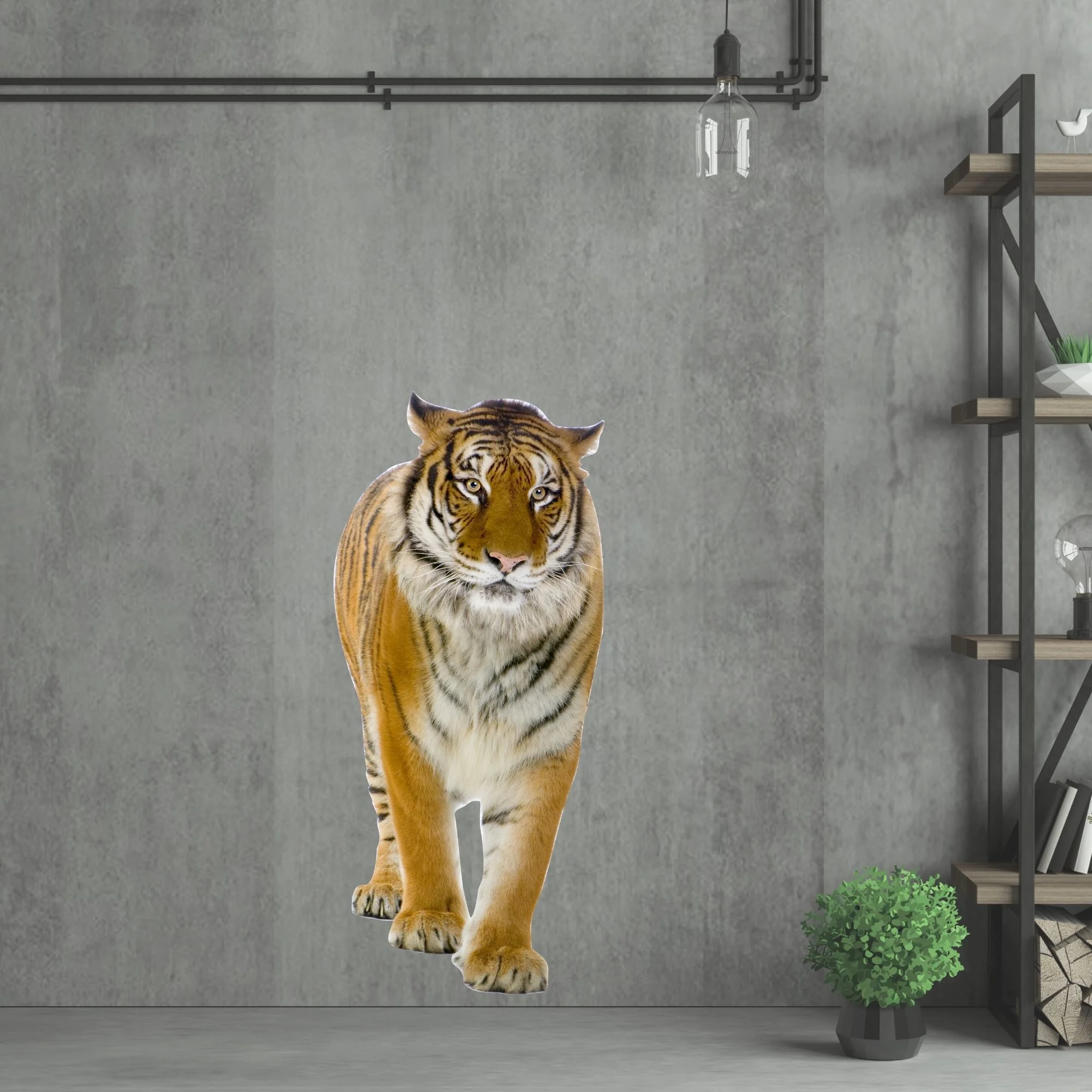 Wandtattoo Tiger - Image 3