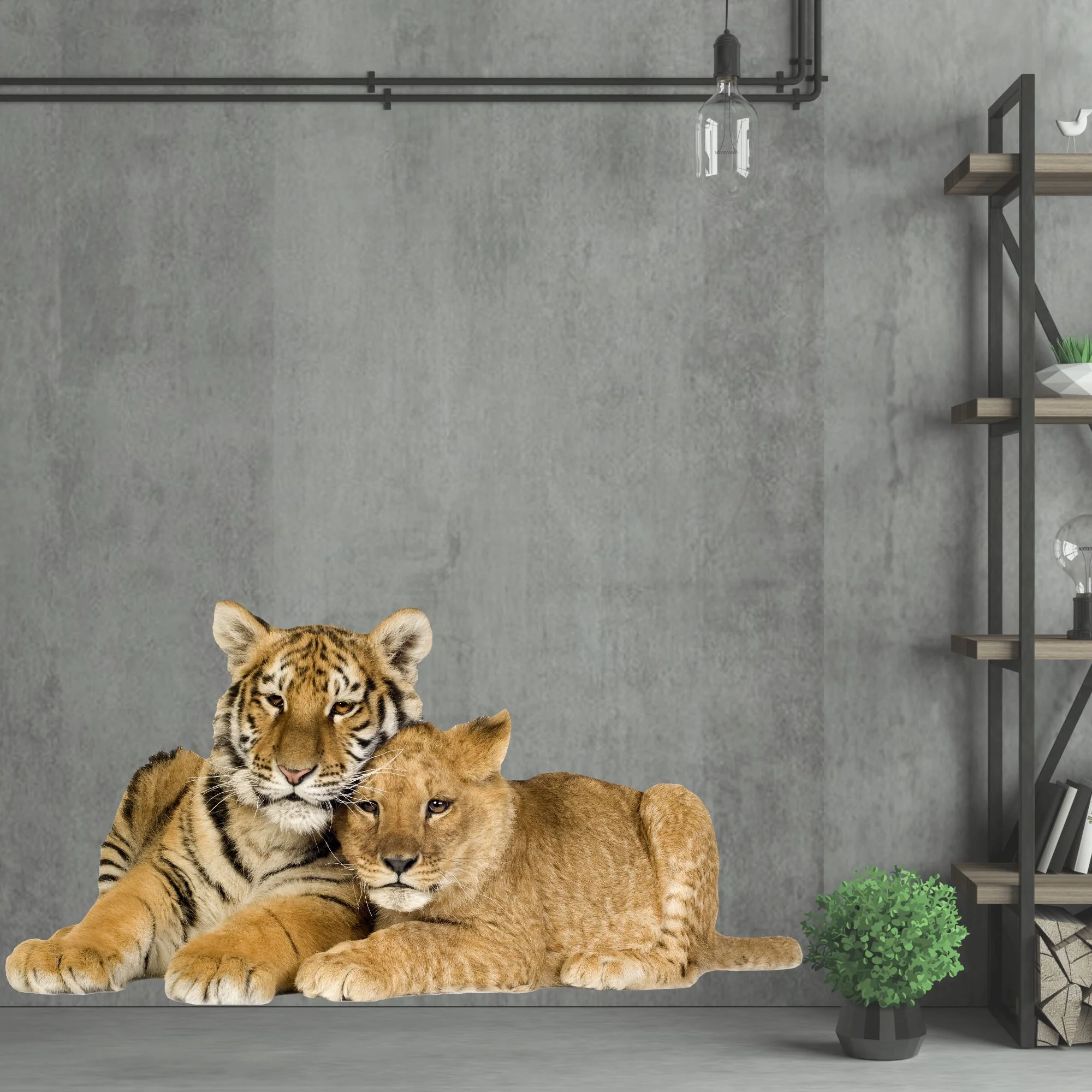 Wandtattoo Tiger und Löwenjunges - Image 4