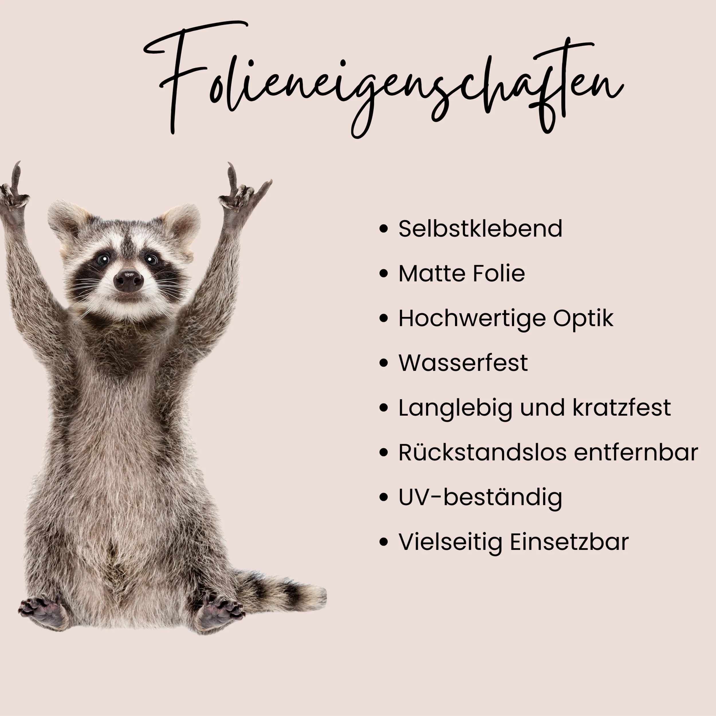 Wandtattoo Waschbär - Image 3