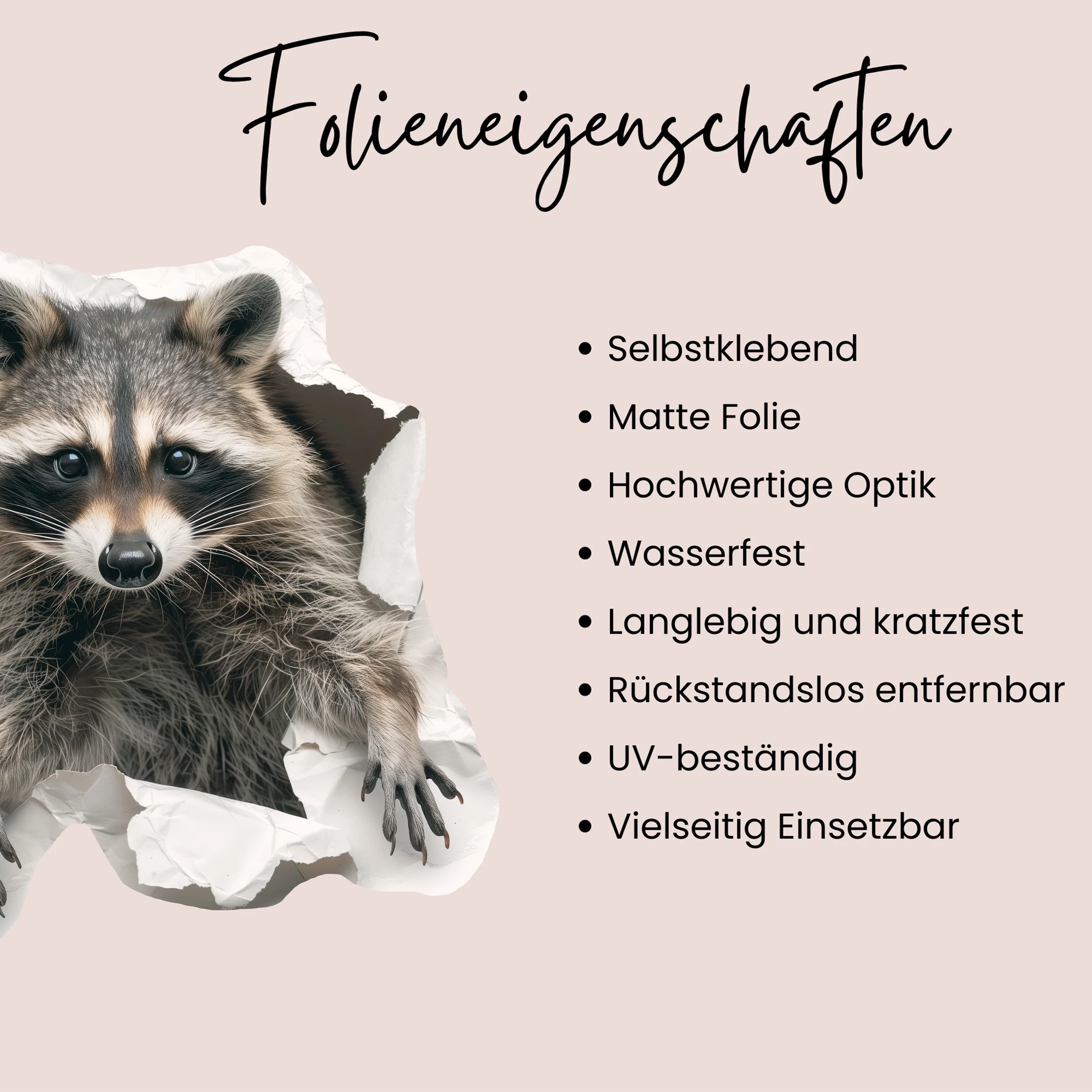 Wandtattoo Waschbär - Image 3